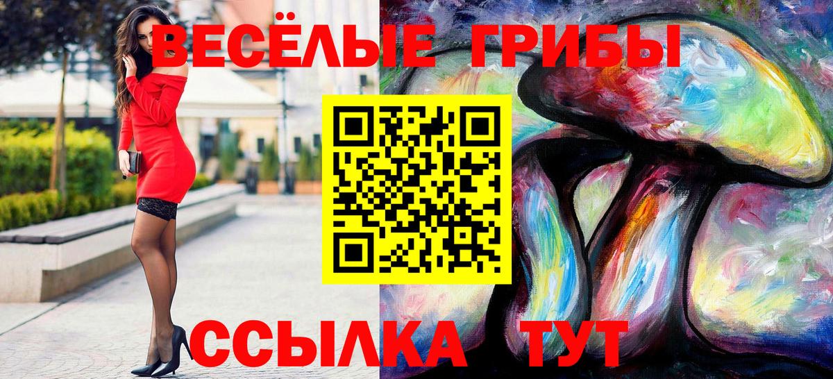 Галлюциногенные грибы GOLDEN TEACHER Тверь