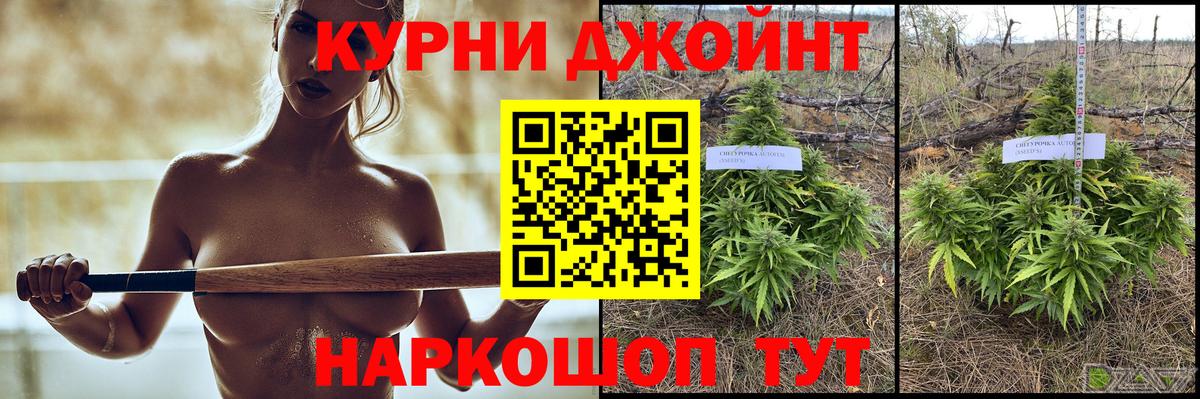 Шишки марихуана тримм  Конопля планчик  Бошки марихуана AK-47  Вход с VPN  Тверь 
